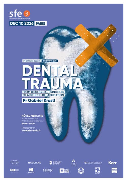 Journée Traumatologie : Jeudi 10 décembre 2026